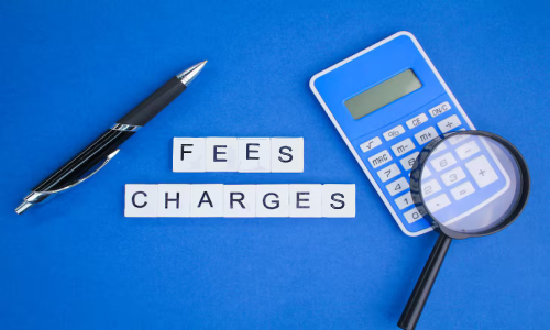 Fees and Charges – Business Excellence Award